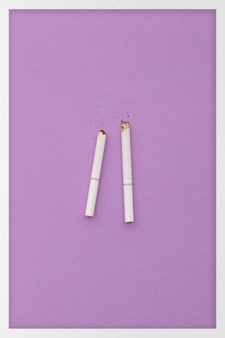 Simpsons Minimalist Posters - Patty and Selma